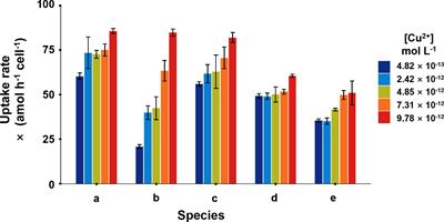 Copper uptake and subcellular distribution in five marine phytoplankton species